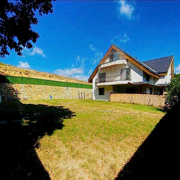 Neşeli Köpek Pansiyonu